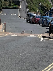 Esplanade Patrol.