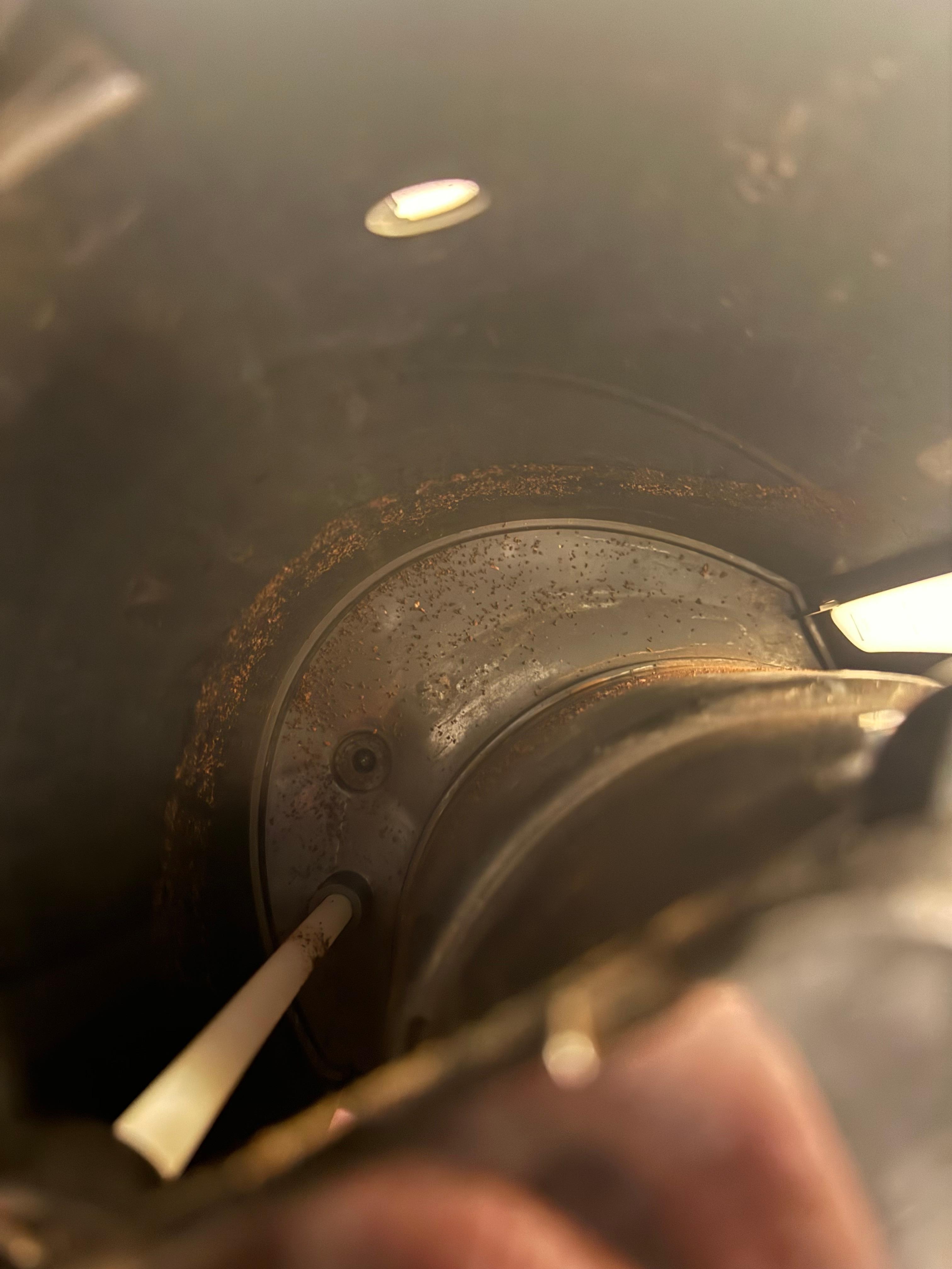 Rust and coffee grinds in the back of the coffee maker