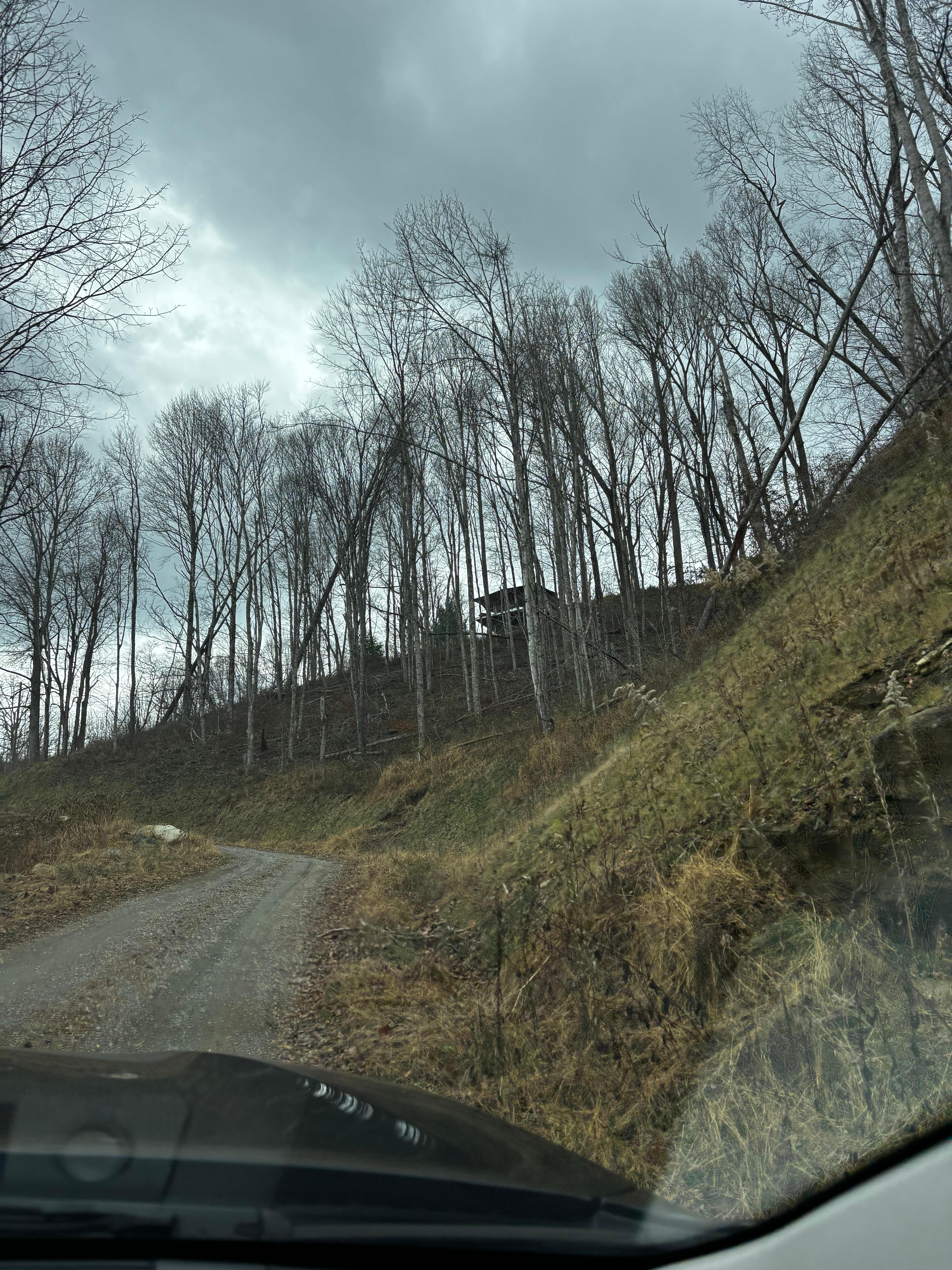 Going up the road to the tent in the trees.