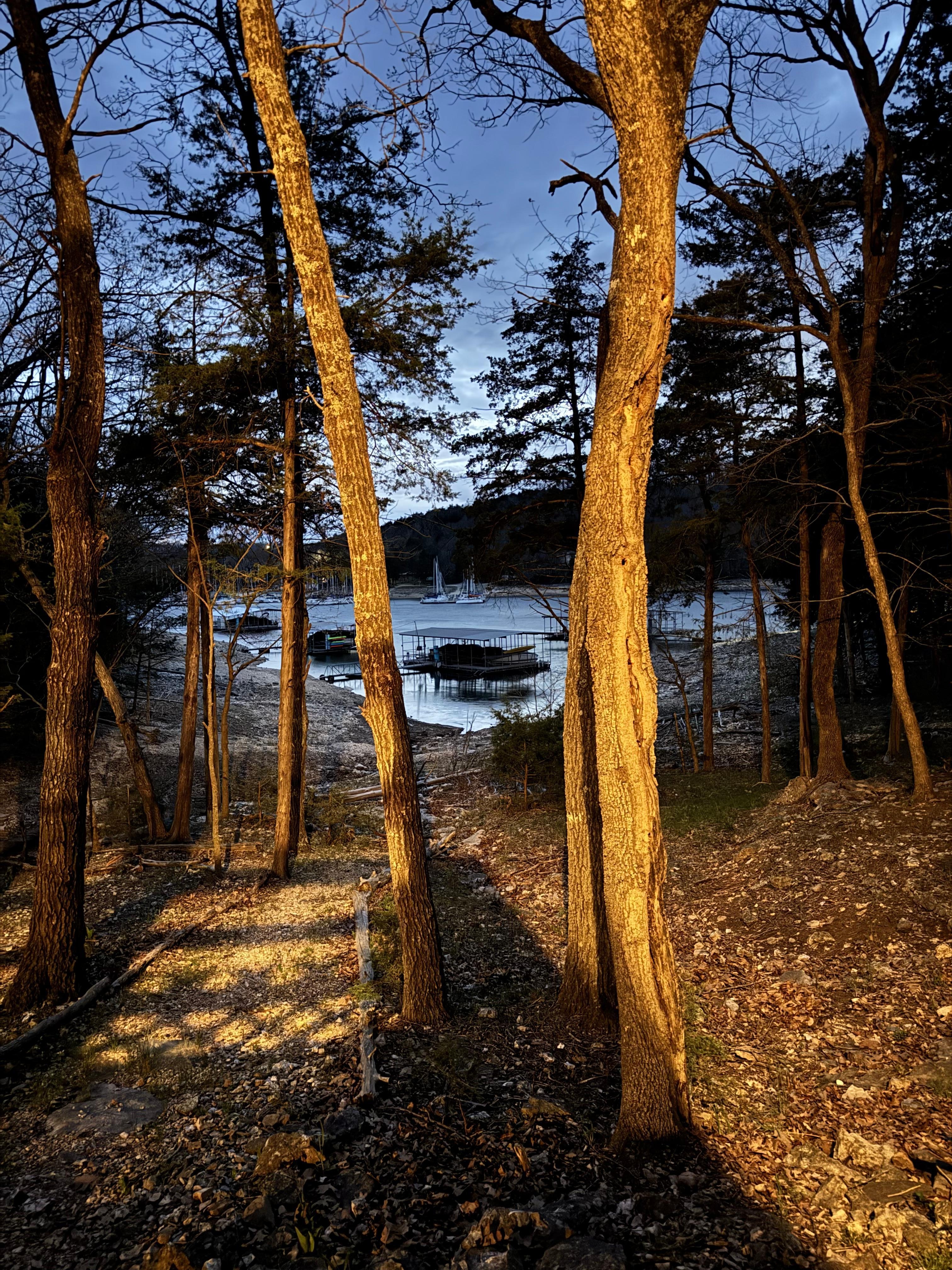 Evening view from the back deck.
