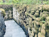 Monkey wall