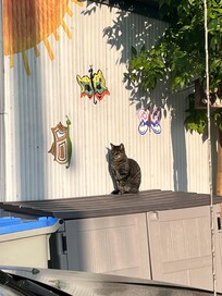 Little visitor posing for us.