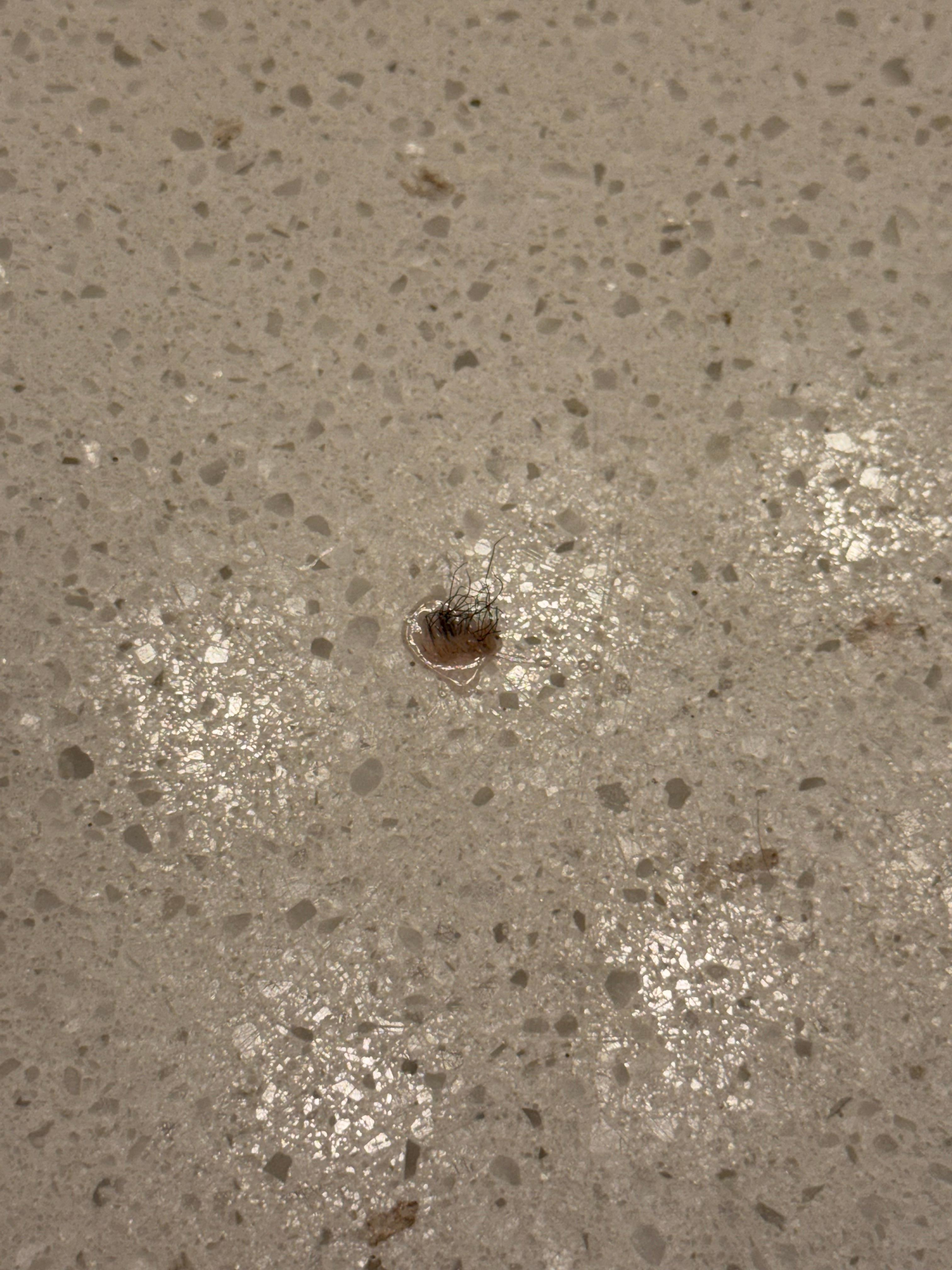 Eyelash stuck to bathroom sink 