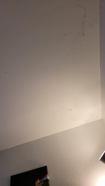 More mold