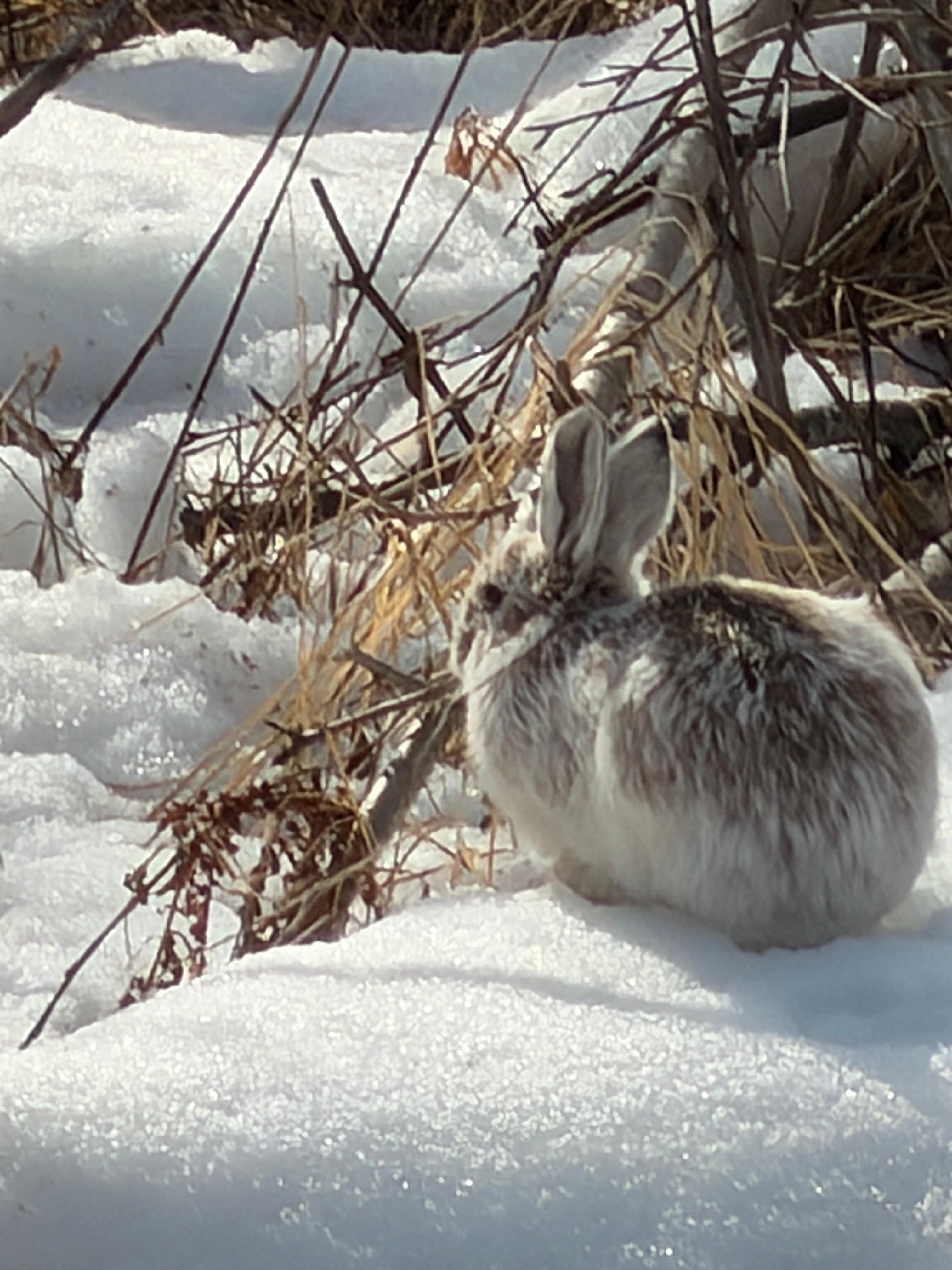 Taken from the kitchen window