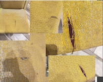 how can a hotel allow this to stay for the past year?? there is only four sitting chairs in this main room called the library and all have large rips in them! geez.