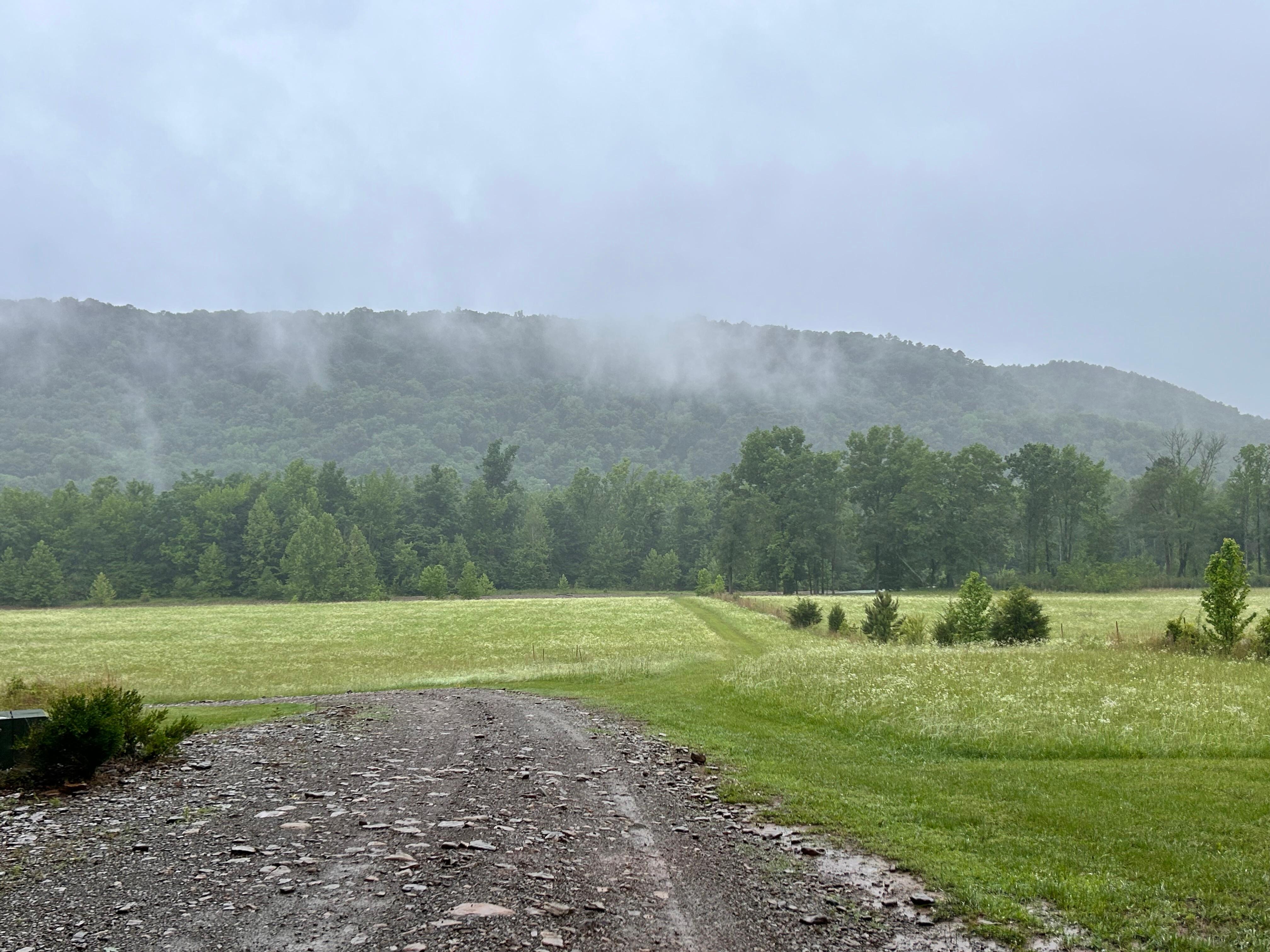 Beautiful view from the property.