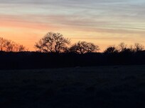 The backyard view isn’t too bad!!