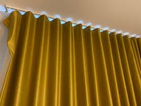Please zoom in on the top of the curtain. Here is a picture of the bug I have never seen before.