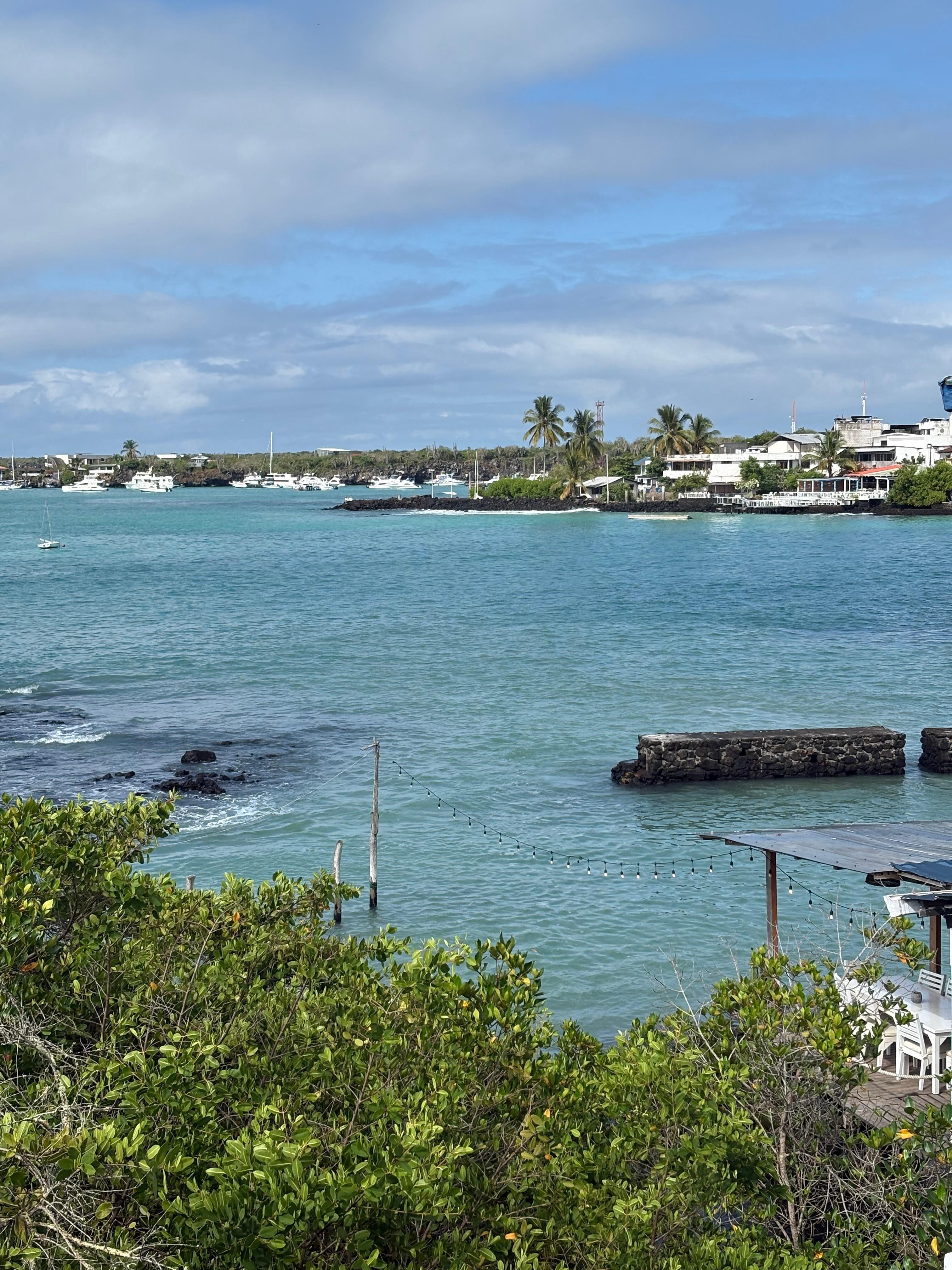 View from our room