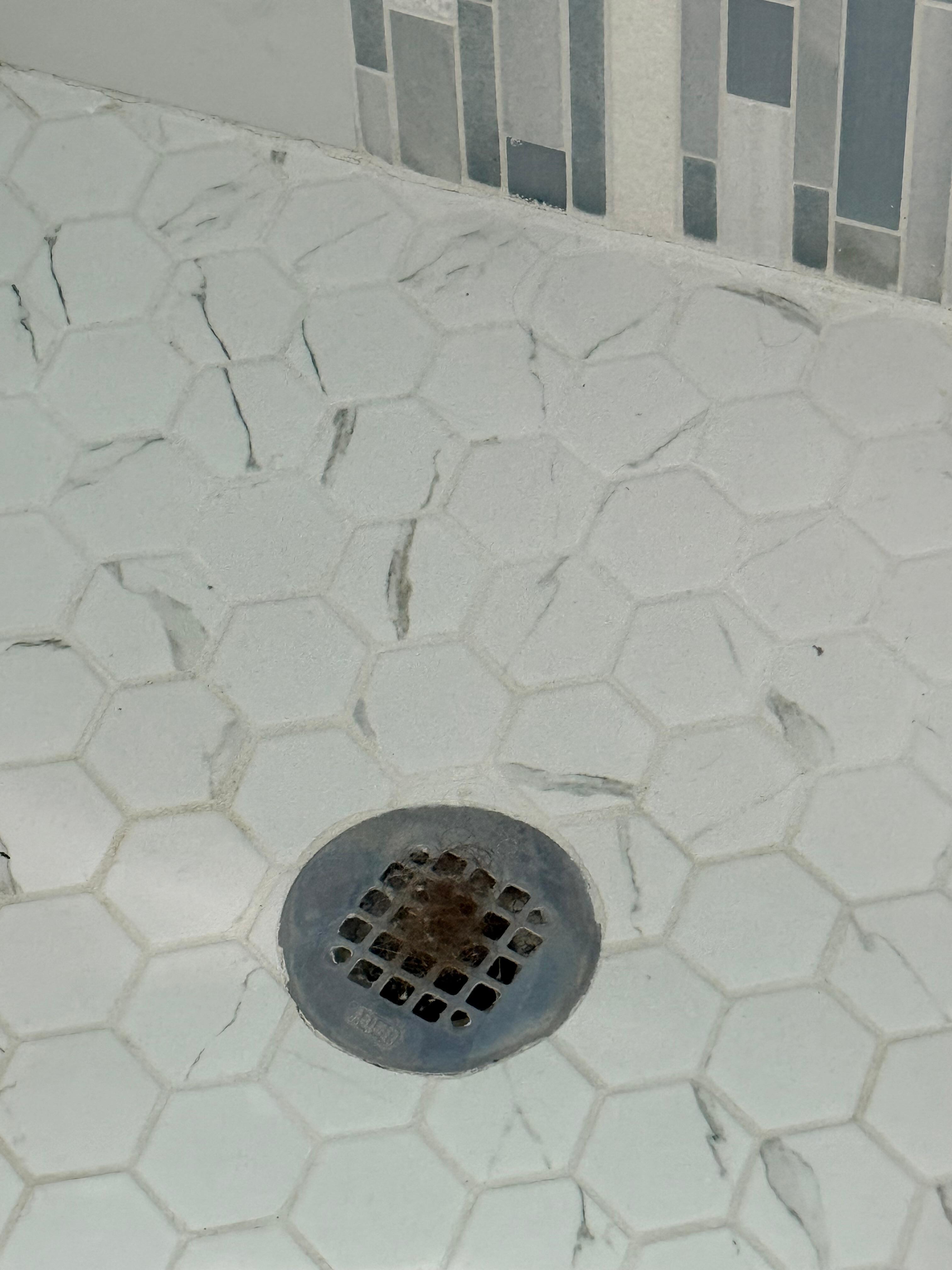 Shower not cleaned-hair in drain