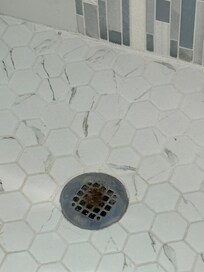 Shower not cleaned-hair in drain