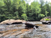 A short way down river from the cabin