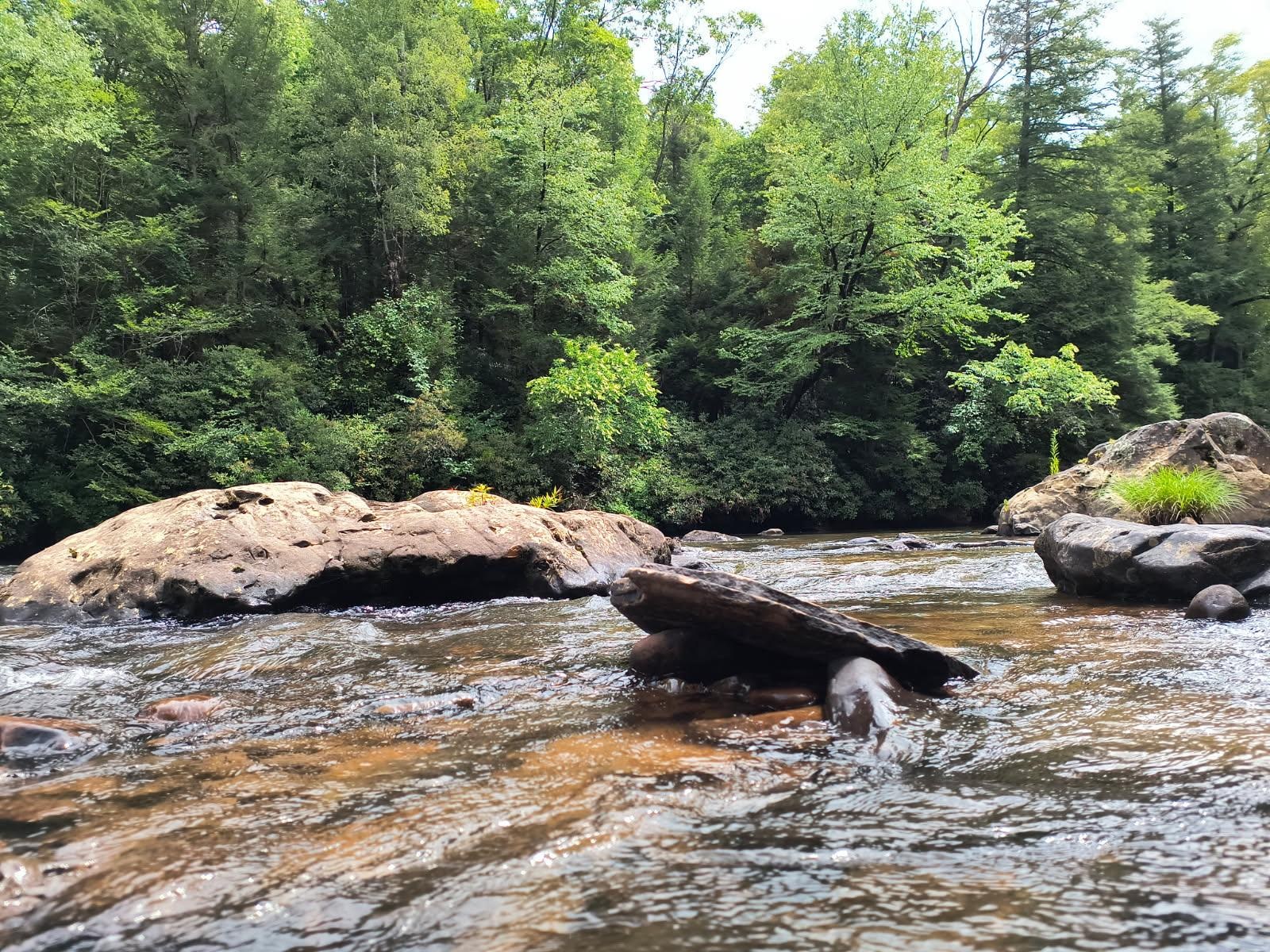 A short way down river from the cabin