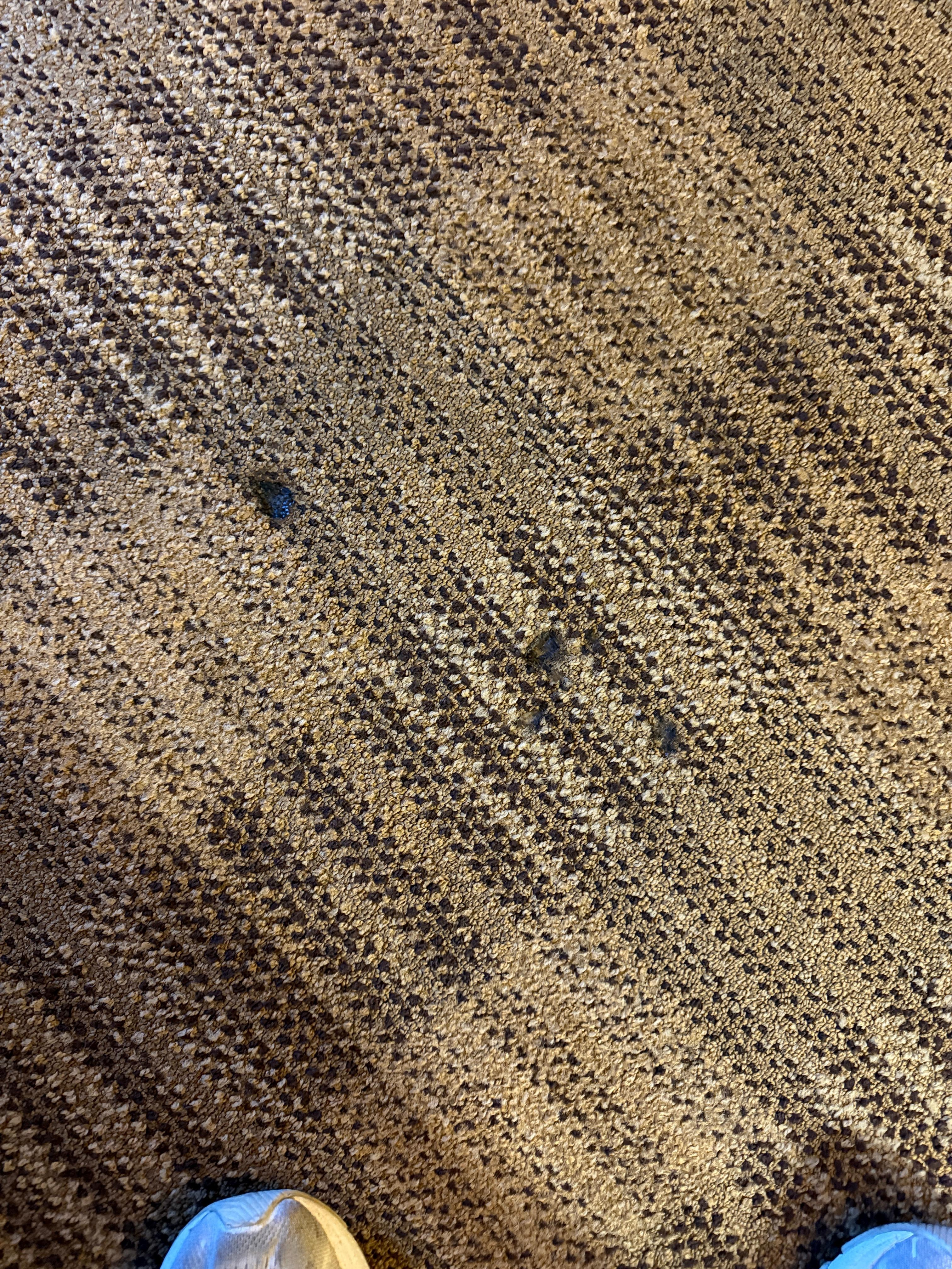 Burnt holes in carpet