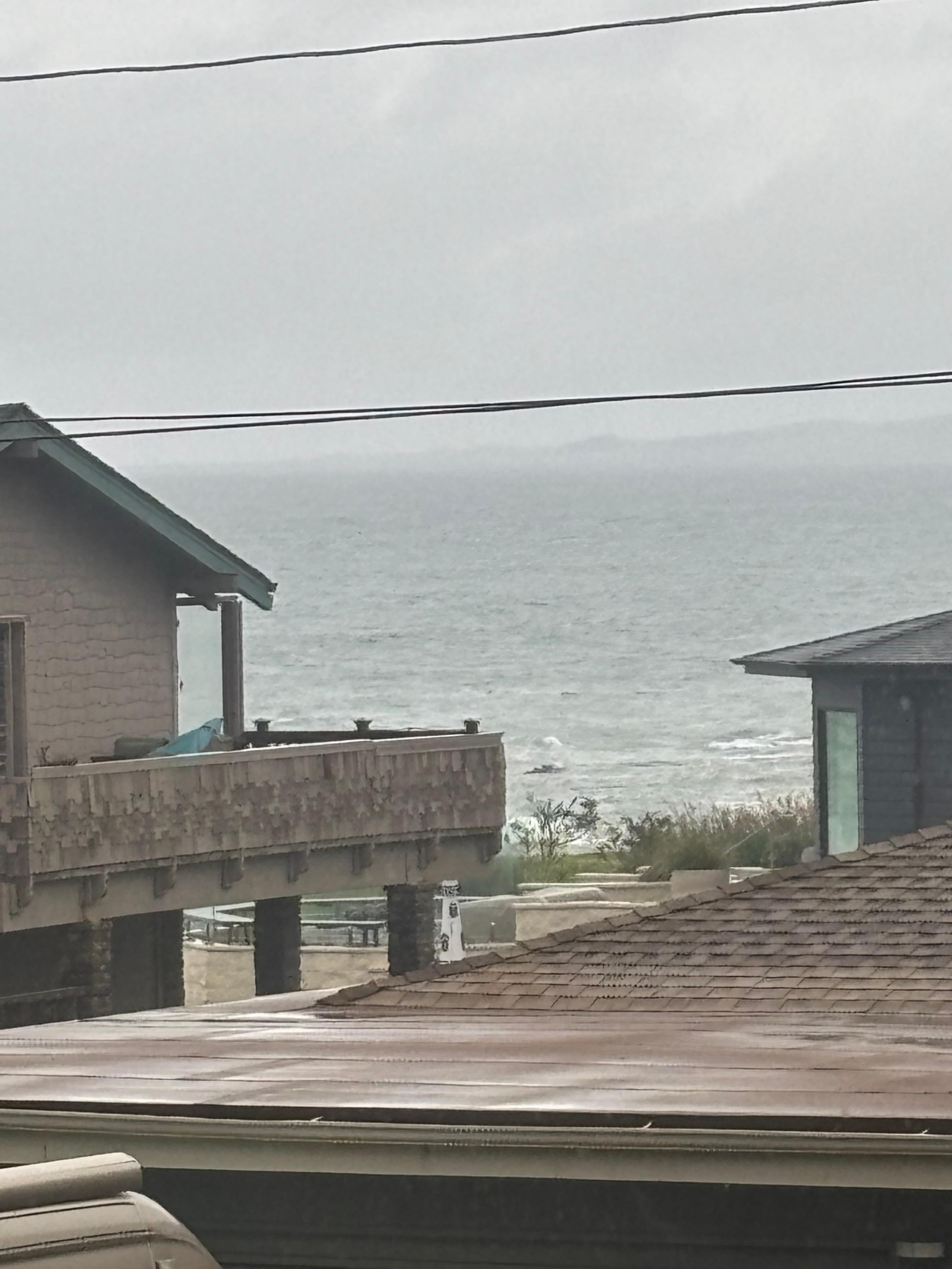 View from the house on a rainy day 