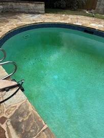 Algae filled. Then murky green w/heavy chlorine smell