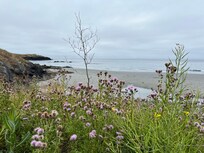 Eagle Cove Beach