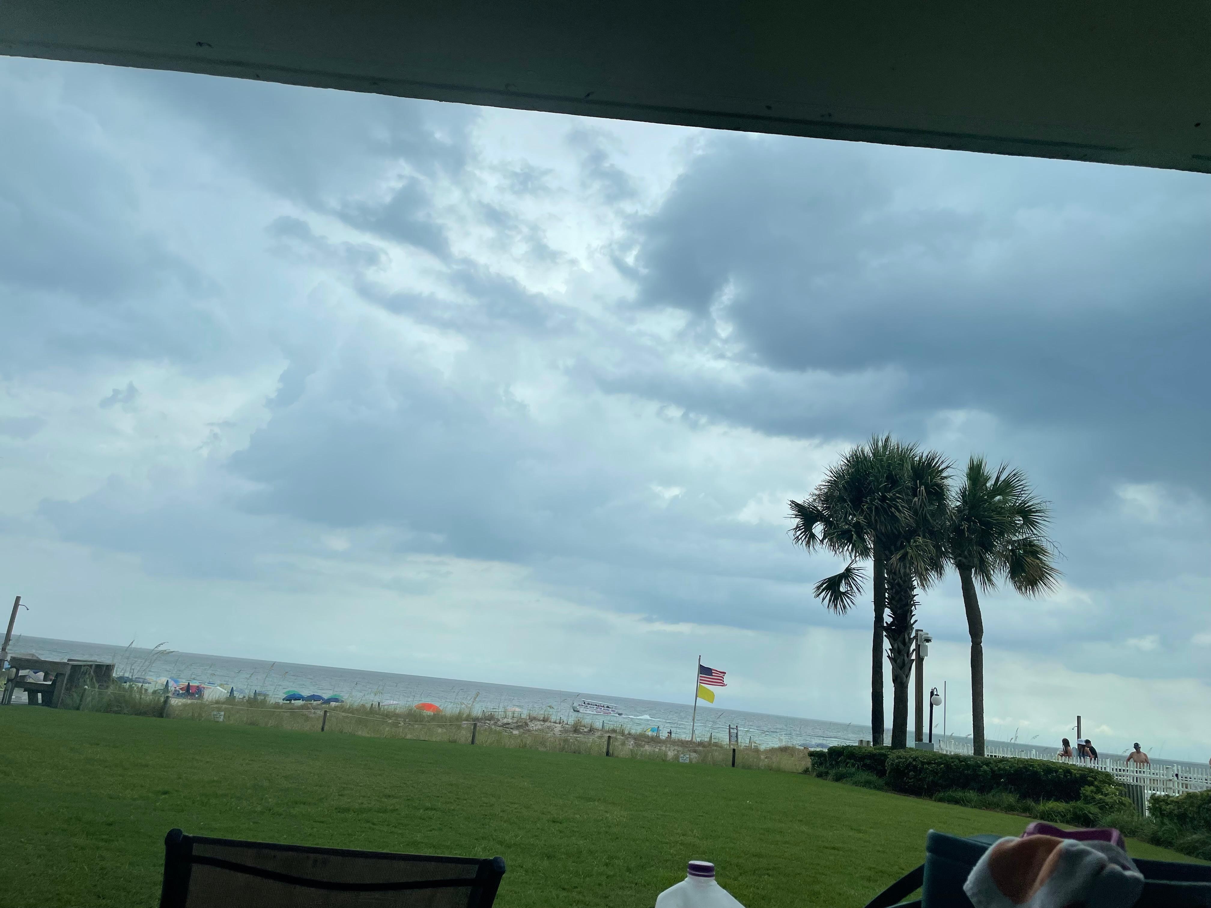 This is the view from sitting on the back porch. 