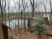 View from back porch