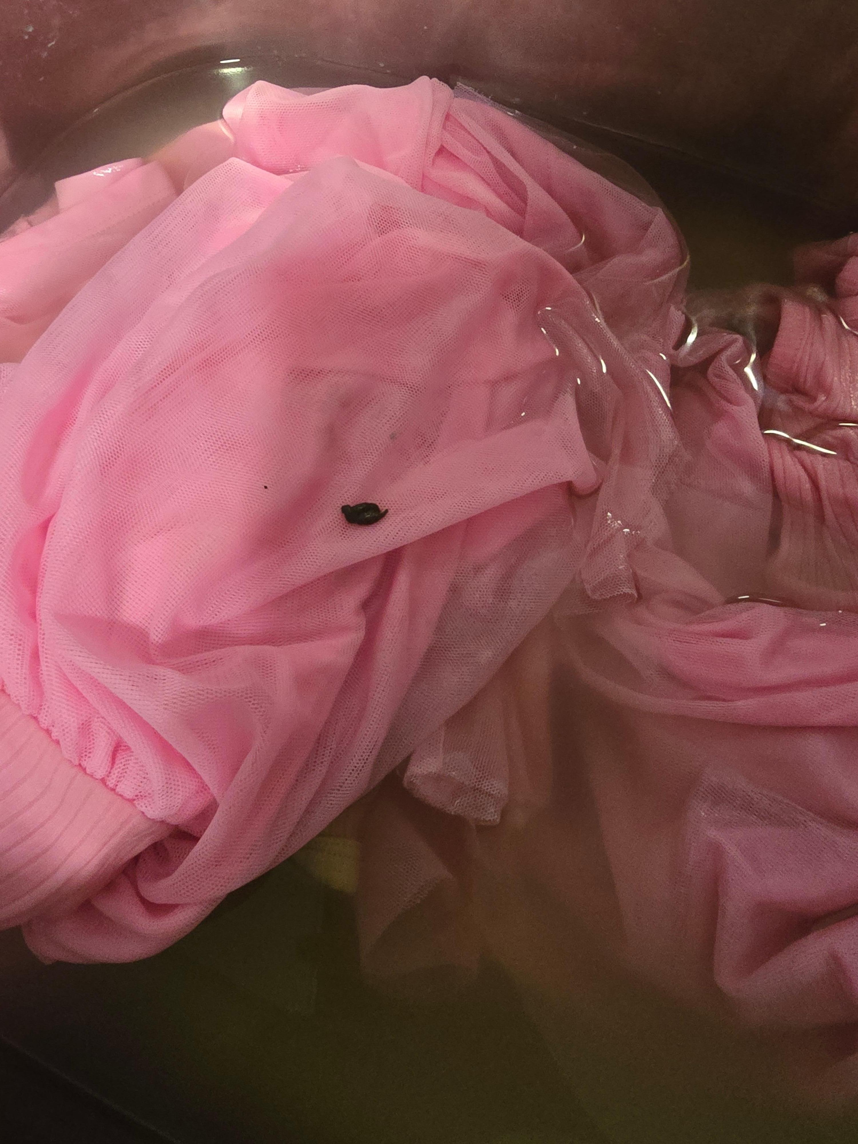 Droppings on our clothes 