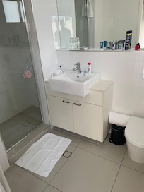 Only mirror but the downlights didn’t work