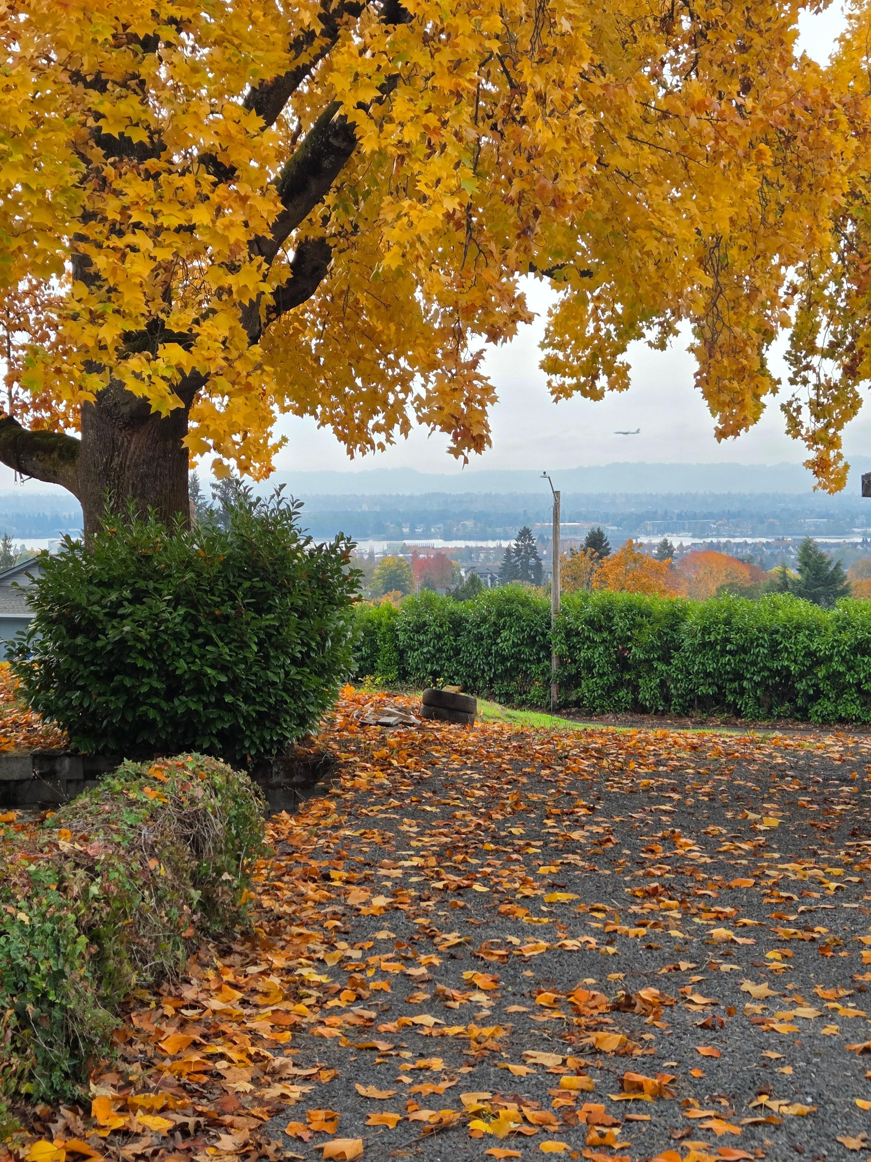 View from walk near the house 