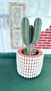 La terraza