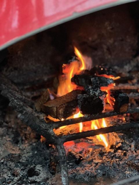 The fire was a treat. Everything we needed to get it easily started even though it was pretty damp weather while were visiting.