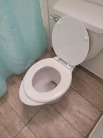 Ridiculous fitting toilet seat.
