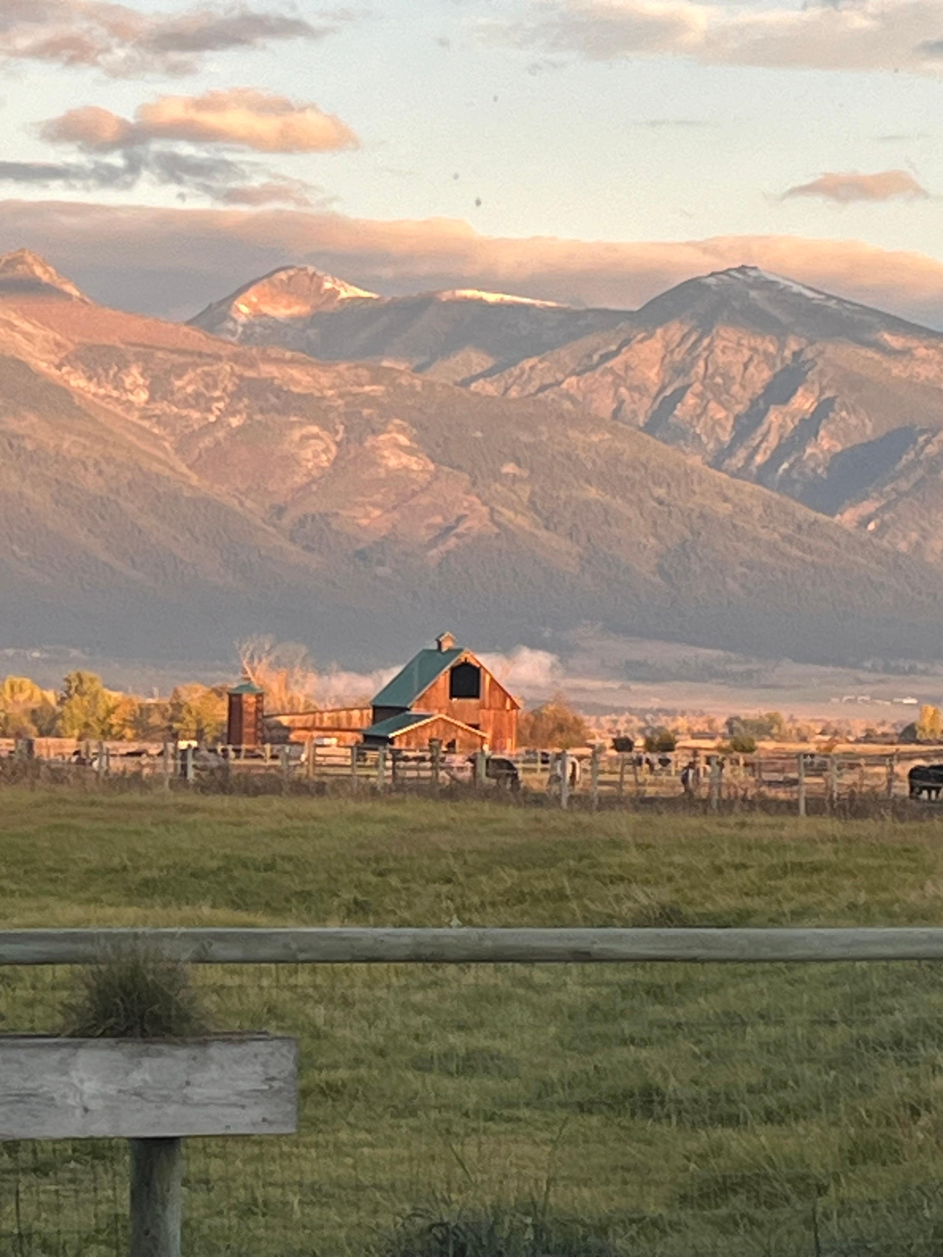 View looking out of the great room