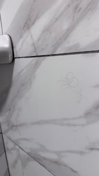 Hair in the shower.