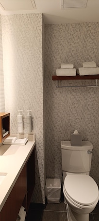 Salle de bain douche
