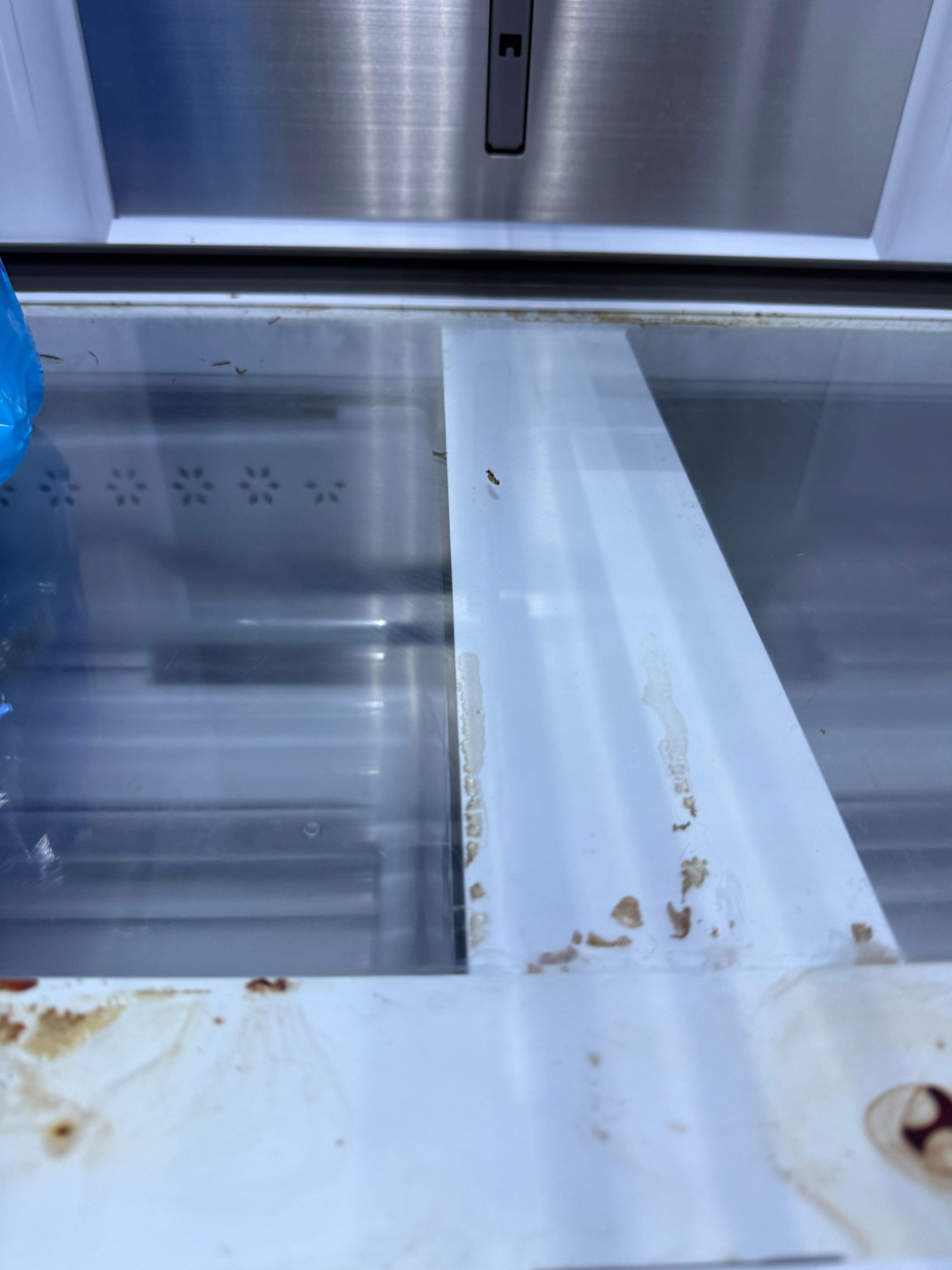 Mold in the refrigerator, not cleaned 