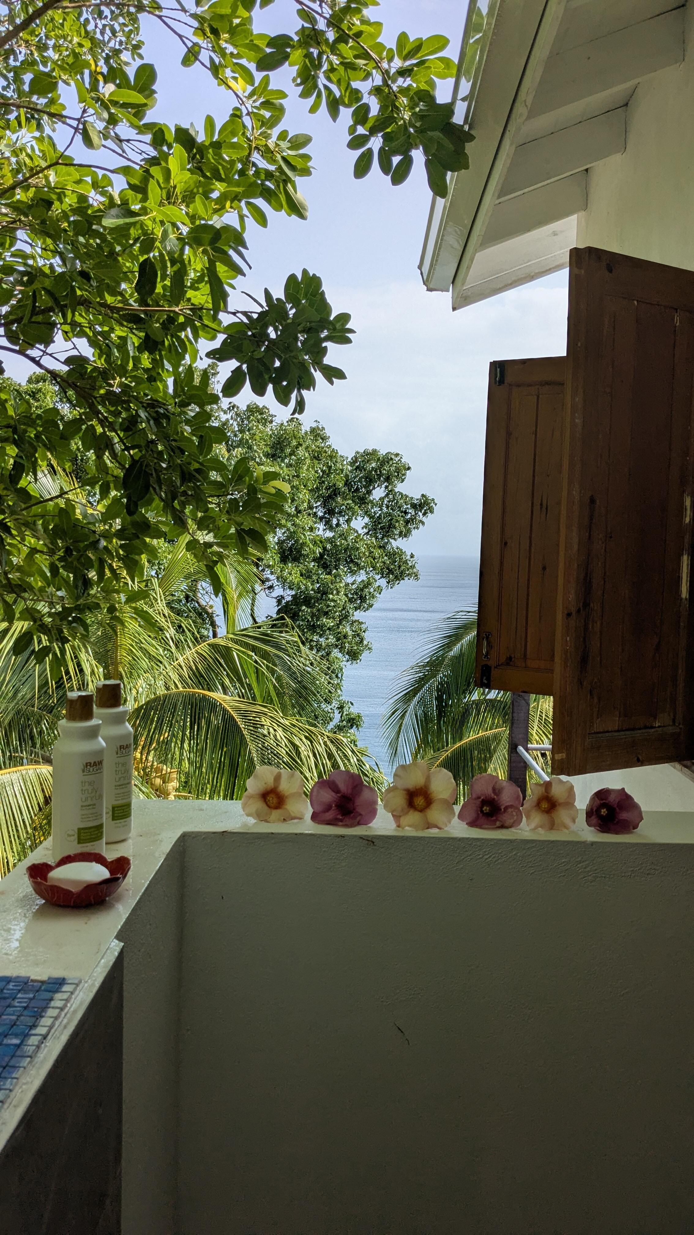 View from the outside shower