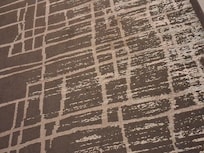 Dirty snagged carpet