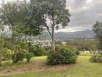 3000 native Rainforest trees have been planted