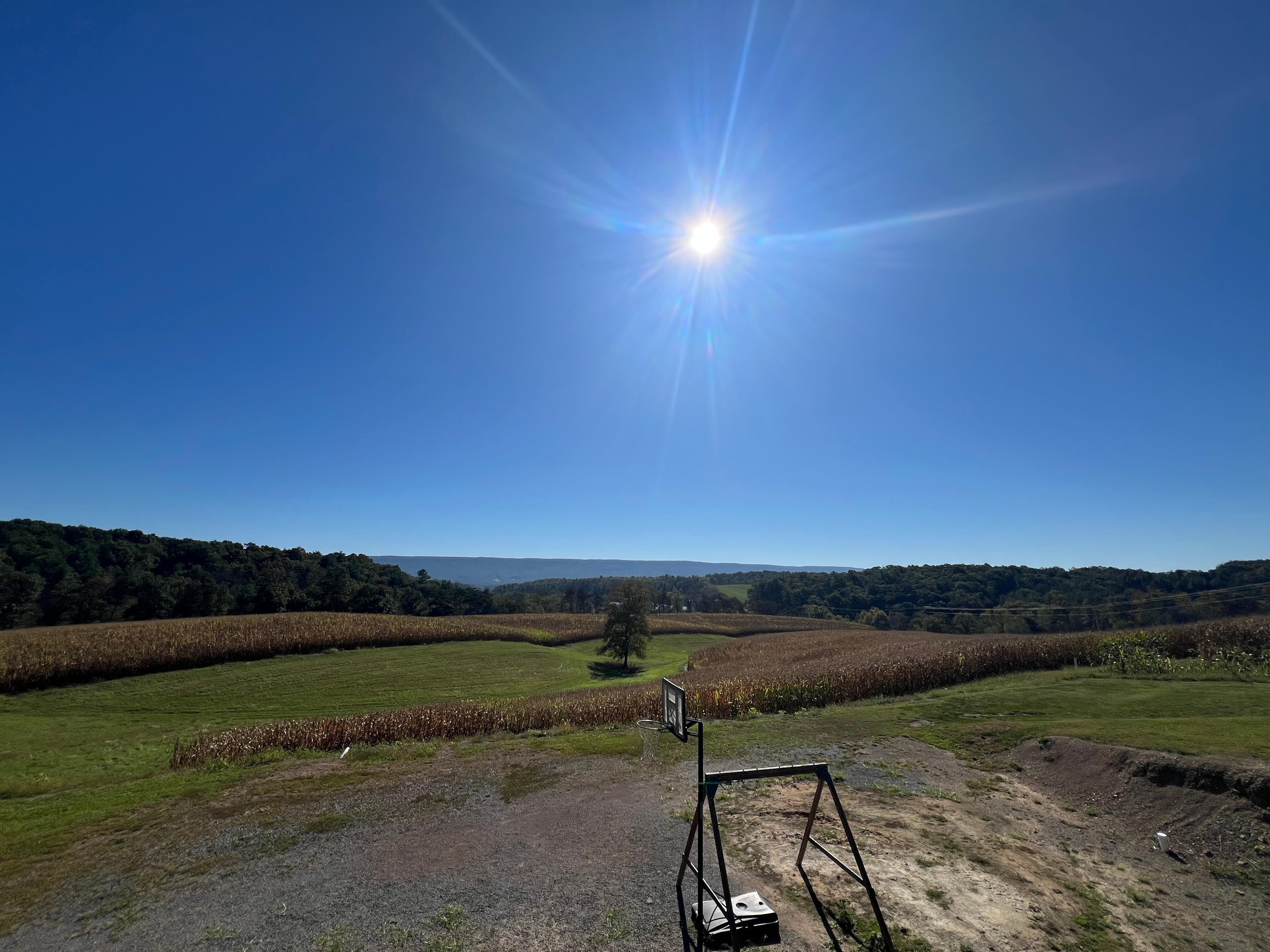 Backyard property grounds 