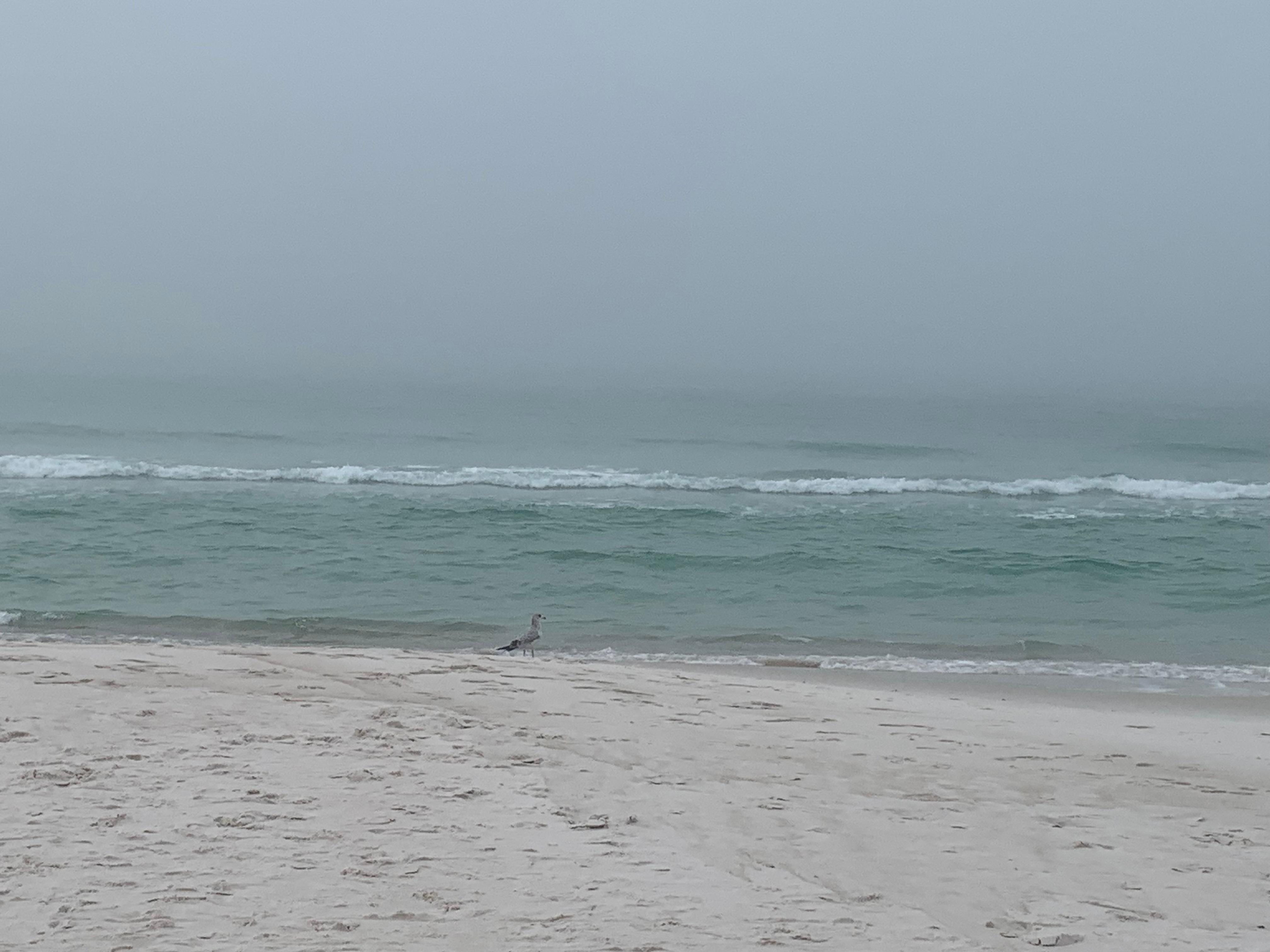 Standing on beach viewing Gulf