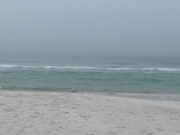 Standing on beach viewing Gulf