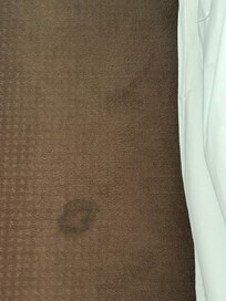 Dog poop stain on carpet.