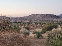 View from patio