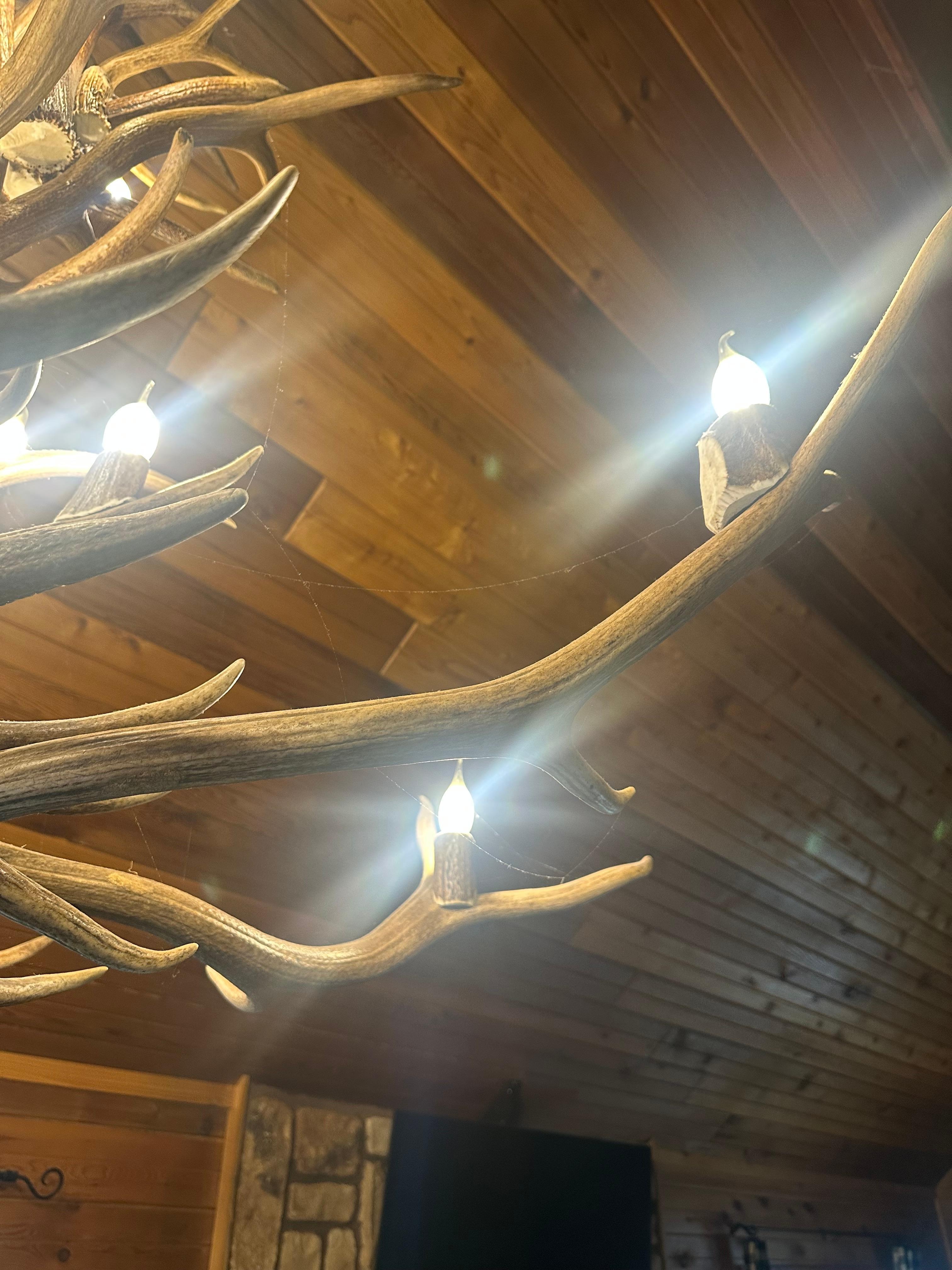 Dust and debris on the floor when we arrived.