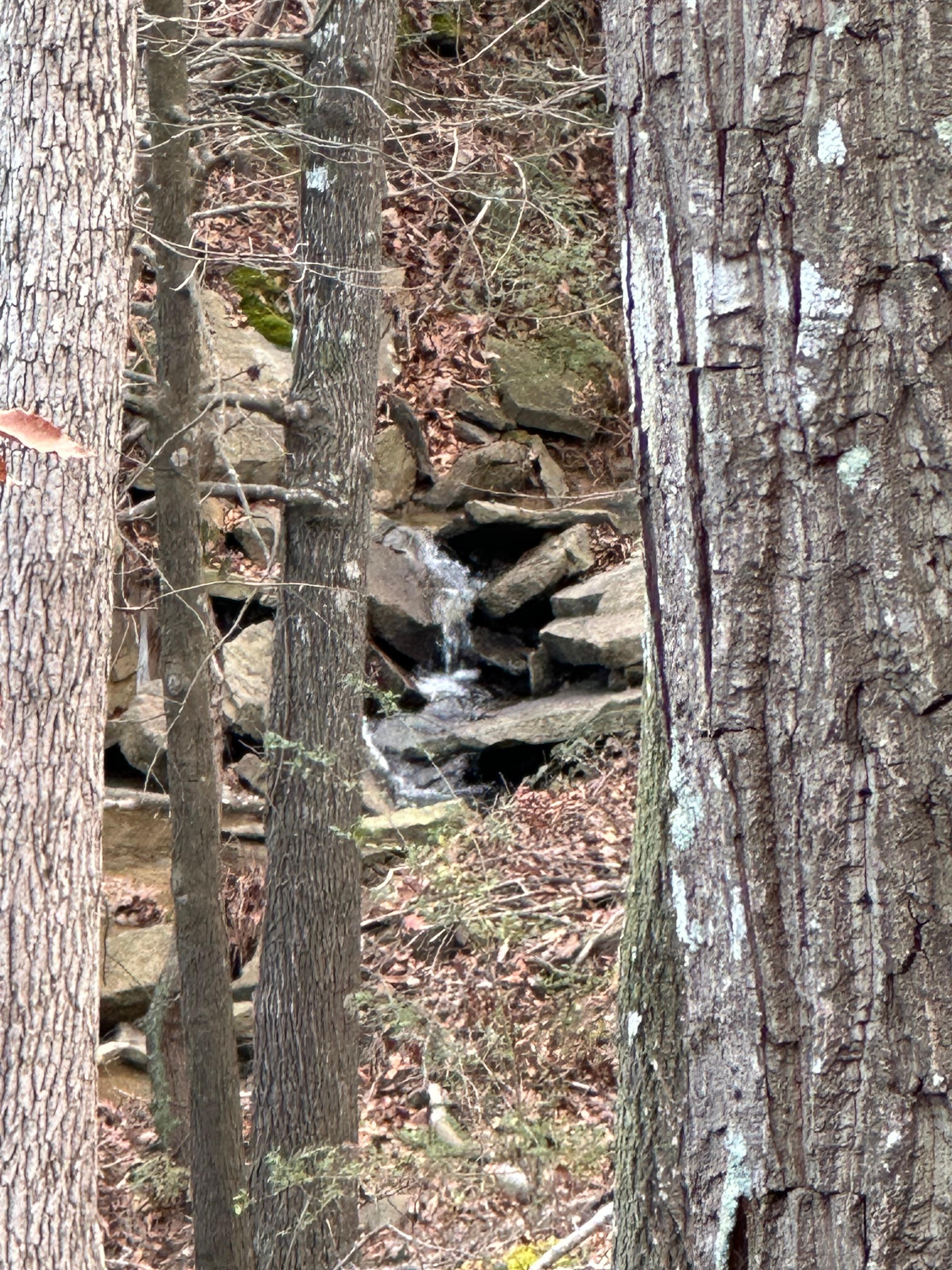 Had a little water that runs down into the lake. Nice to hear it while sitting on the patio