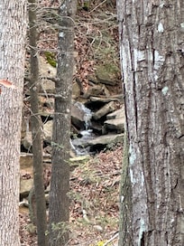 Had a little water that runs down into the lake. Nice to hear it while sitting on the patio