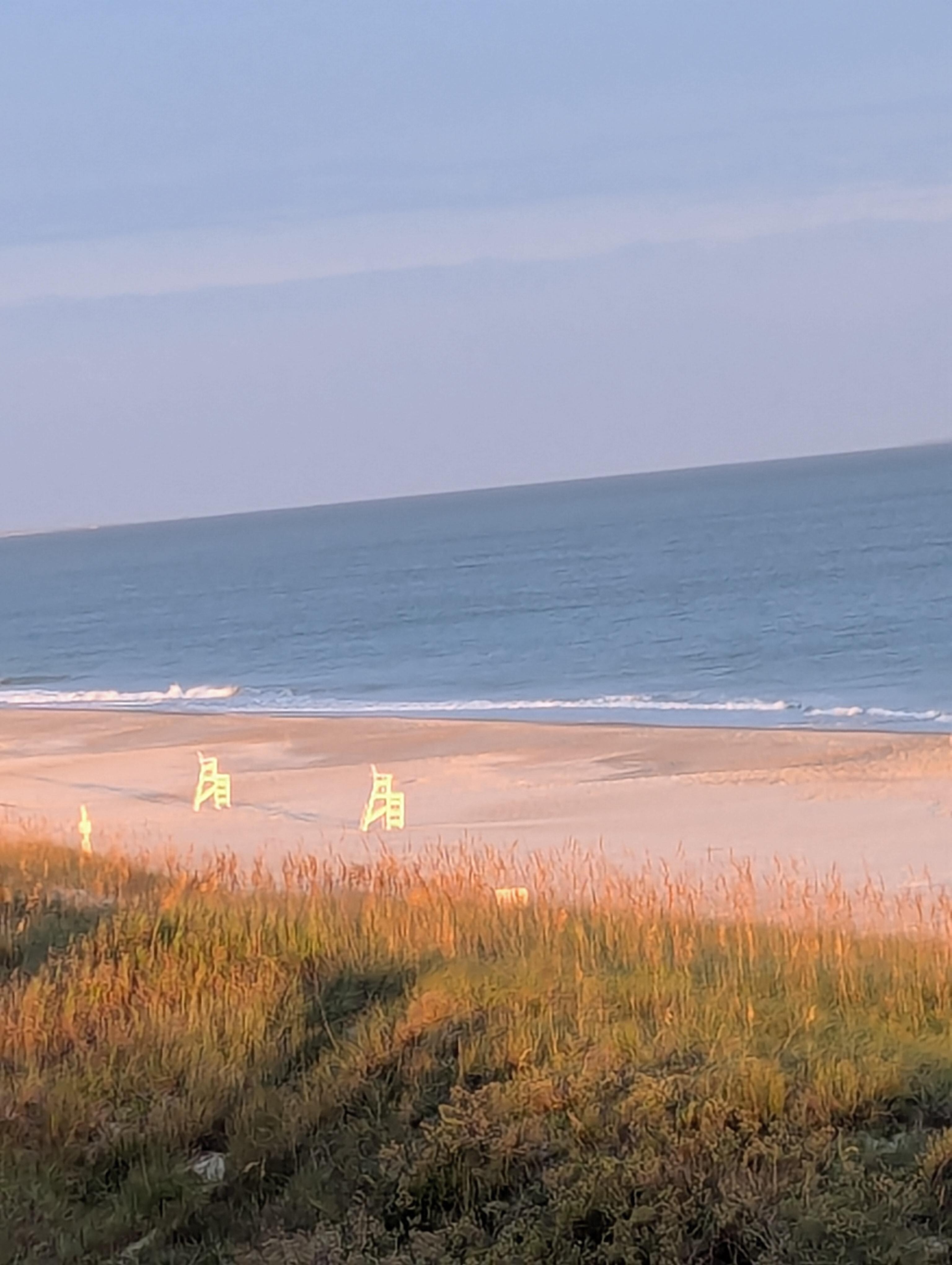 Typical day at the beach 