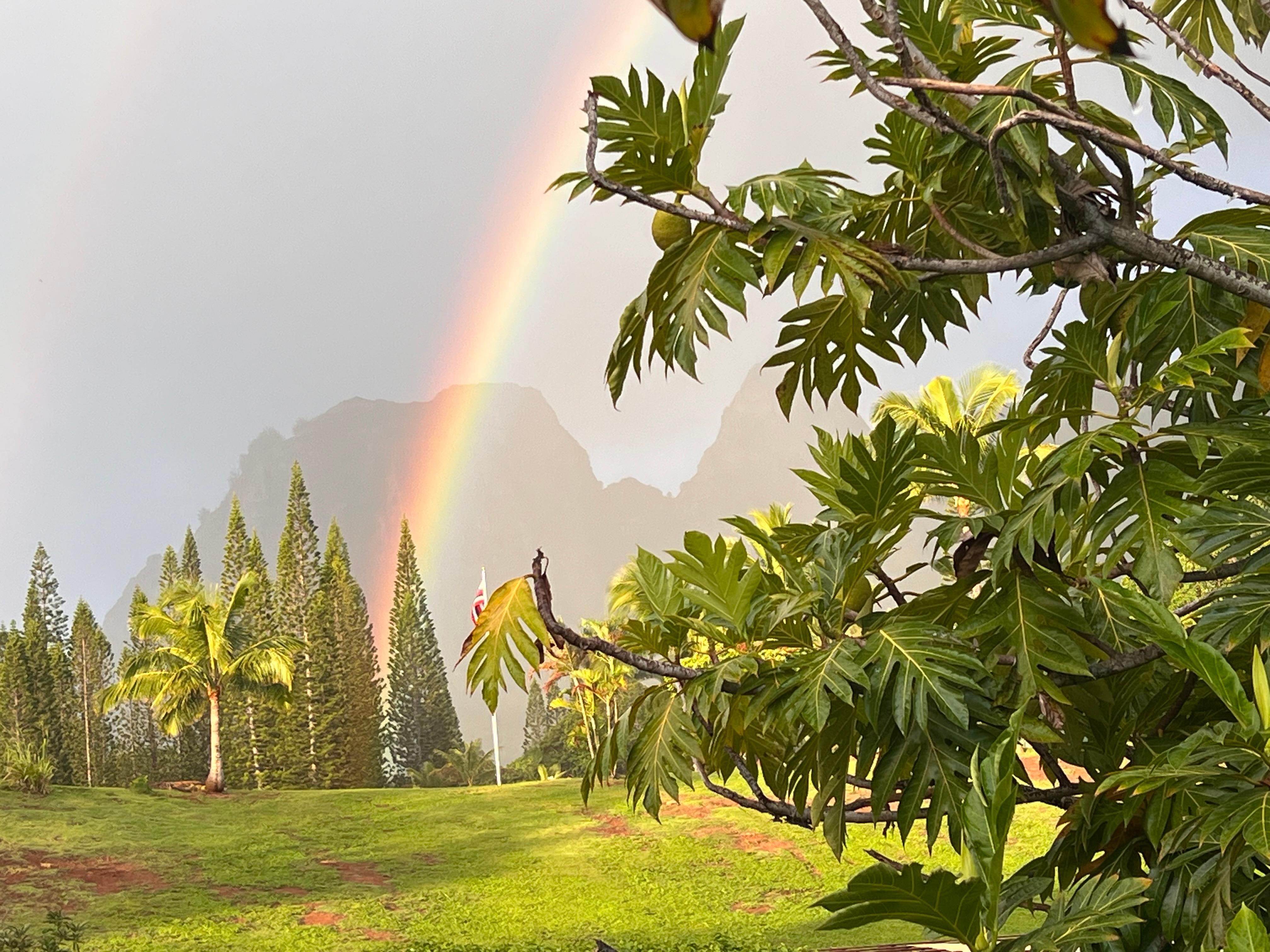 View from deck outside in the morning.  