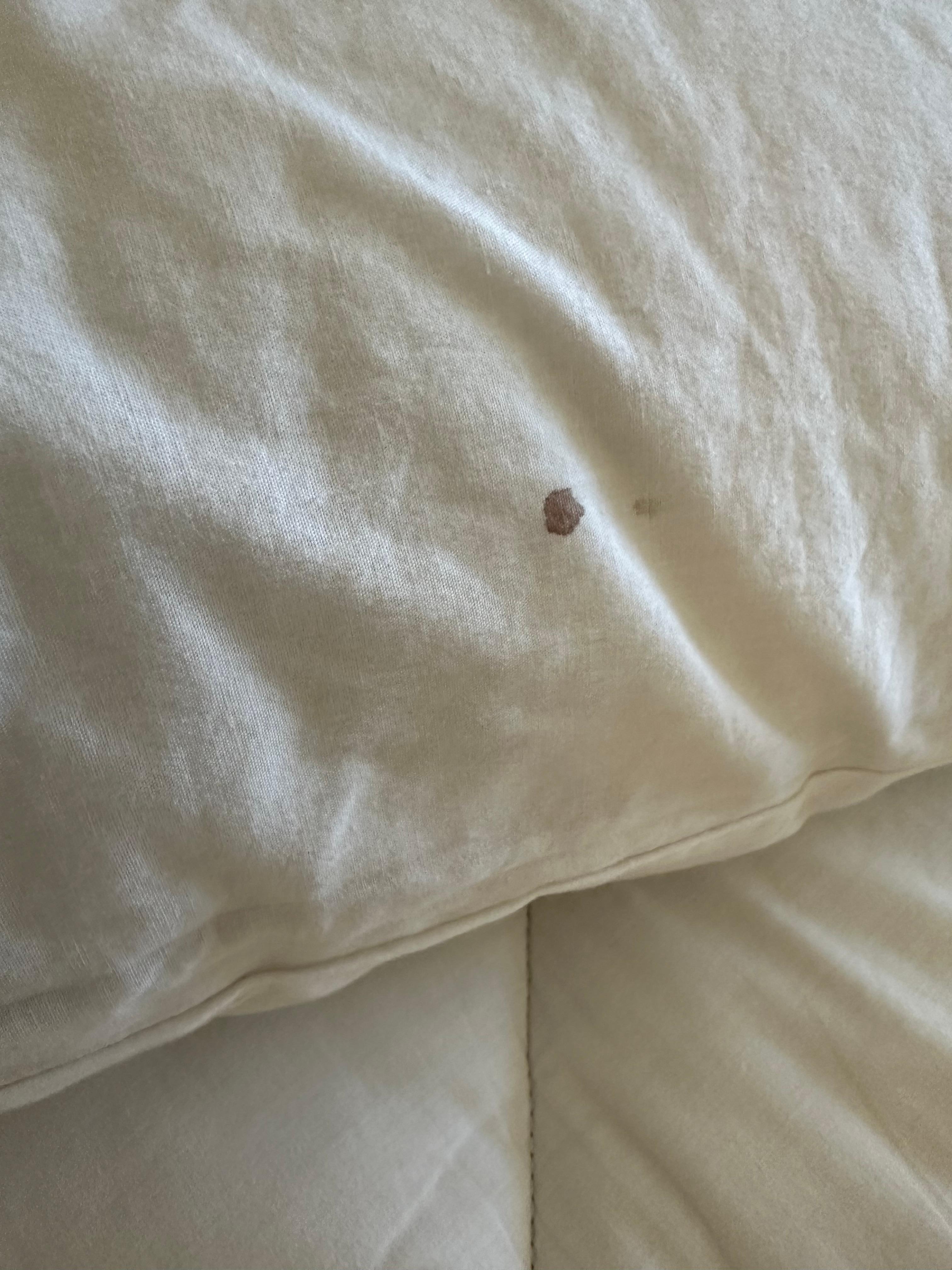 Blood stain on pillow