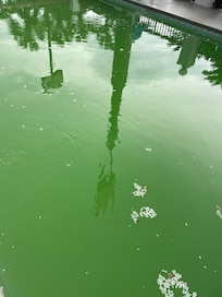 This is the pool