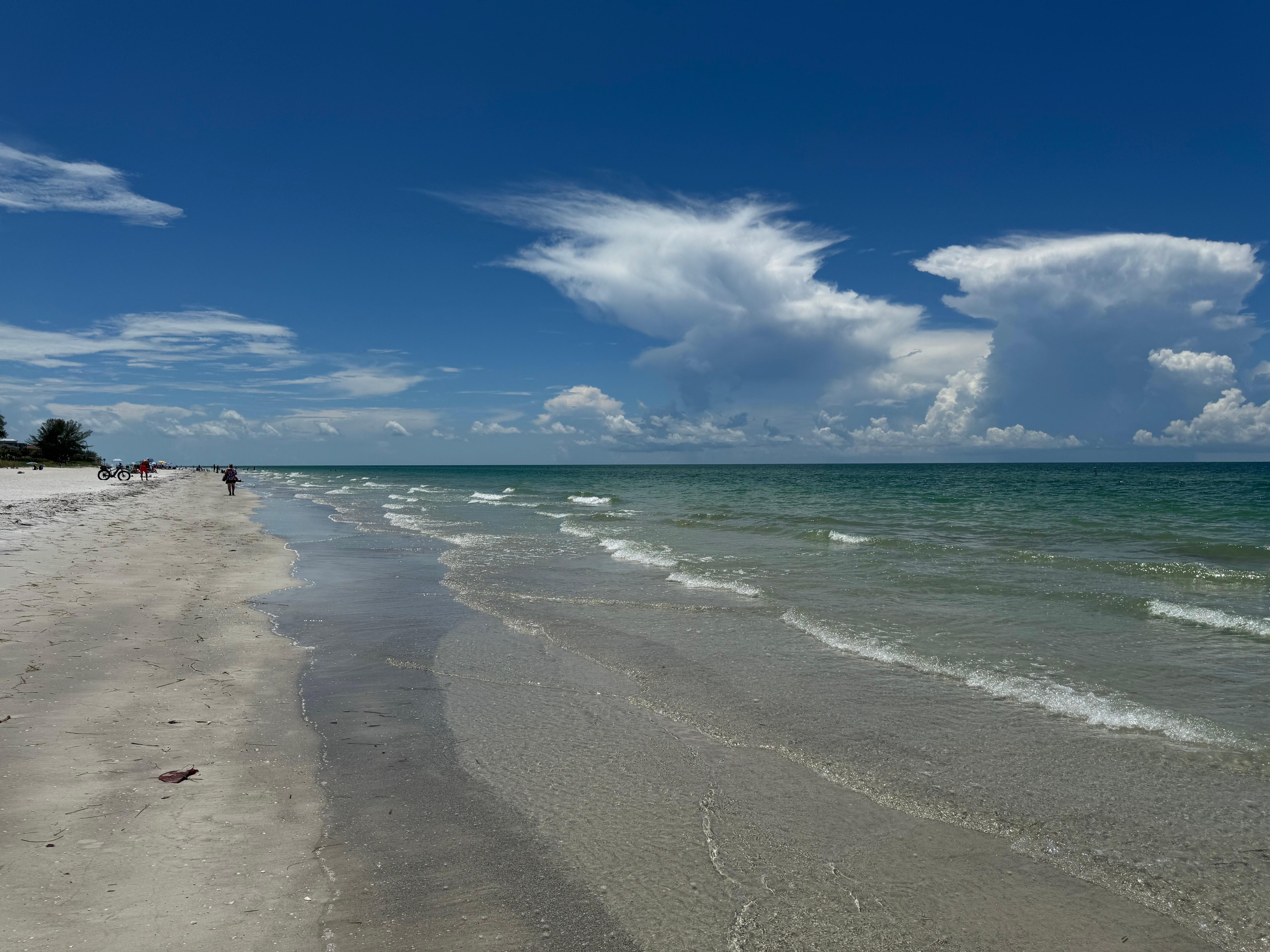 Great day for a five mile walk! 